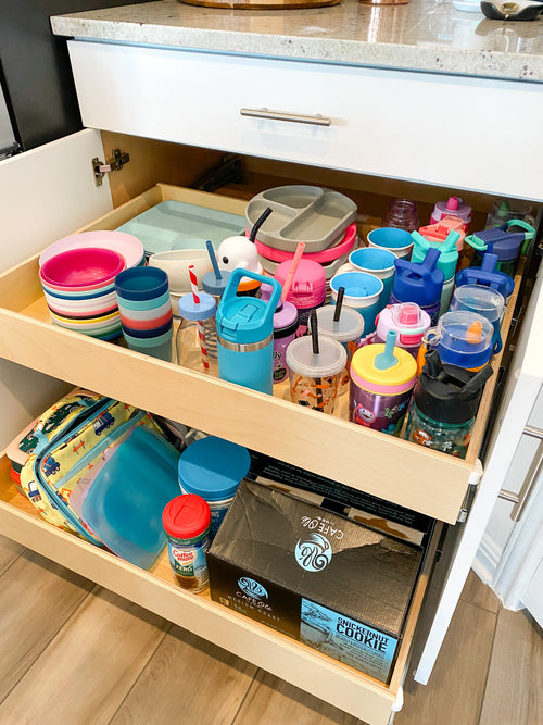 Slide-Out Shelf-LARGE